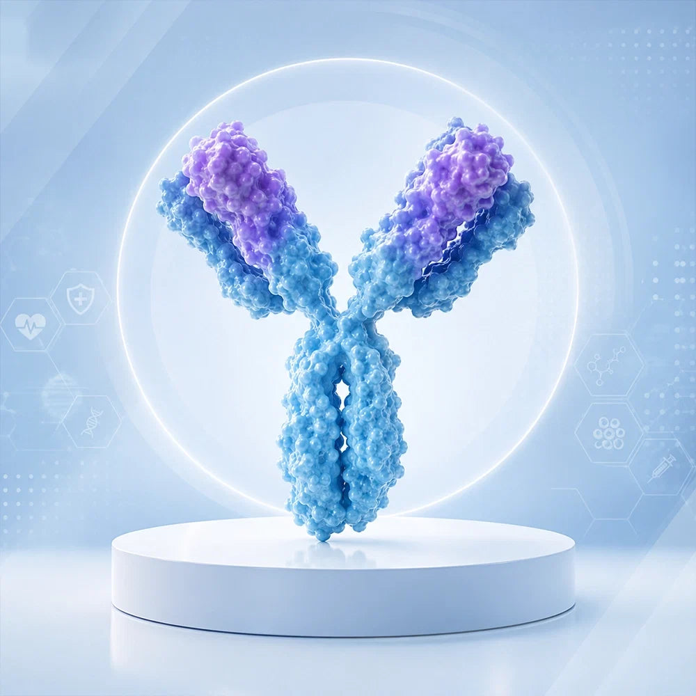 Monoclonal Antibodies